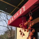 홍시먹으러곶감 이미지