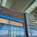 코끼리스크린골프 | 태국 골프여행 ICN-BKK, Pattaya 여행준비물 챙기기