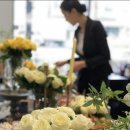 케이씨씨오토 이미지