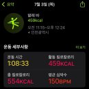 (주)성실팜 | 지난한 여름과 소나기와 게으름뱅이