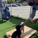 개토피아 이미지