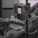 혜민동물병원 이미지