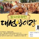 대섬알이랑 네이버블로그