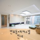 피카소빌 이미지