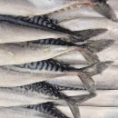 성해수산 이미지