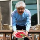 갑순이농원