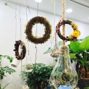 라리센플로리사