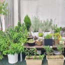 도레미어린이집 이미지