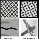 로얄개발㈜ 이미지