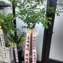 그로비하우스