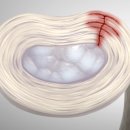 다나고한의원 이미지