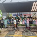 오산초등학교 이미지