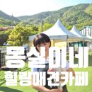 몽실이네 | 서울근교애견동반 경기 광주 애견 카페 몽실이네