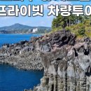 주식회사 여행팜 이미지