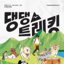 비고리조트 17 이미지