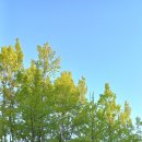 검단 2지구 2호 어린이 공원 이미지