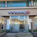 능평동-8 | 광주 능평동 당당 보리밥, 난 보리밥 먹으러 갔다가 쭈꾸미볶음에 반해버렸다