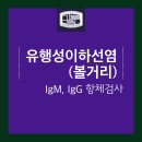 송파베스트내과의원 네이버블로그