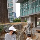 부천북초등학교 이미지