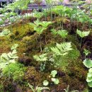 건너농장 이미지