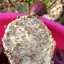 강인한농장 이미지