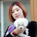 소나무하우스 이미지