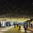 가야빌딩 | 후쿠오카 맛집 스시사카바 사시스 원빌딩, 웨이팅&amp; 추천/비추천 리얼후기