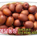 예닮농장 이미지