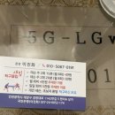 새빛탁구장