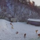 두들랜드 이미지