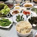 성경기업축산 | 채식식단+쑥 부침개 등등,바이러스와 공장형 축산
