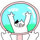 저스트타르트샵 네이버블로그