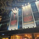 11650-16-29-1 | 2025 뮤지컬 물랑루즈 홍광호 김지우 캐스트 후기 / 블루스퀘어 16열 29, 30 시야