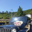 솔향기흙내음 이미지