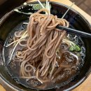 도토리스시