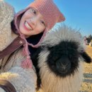 설현농장 이미지