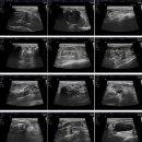 페이지동물병원 이미지