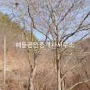 보성공인중개사사무소 이미지