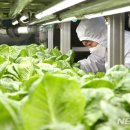 스마트팜 이미지