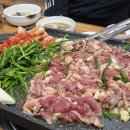 일월돼지꿈꾸는집