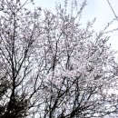 효성카클리닉 이미지