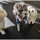 굿데이호텔 이미지