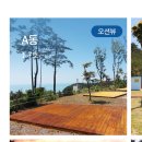 뽕나무길 | 태안 캠핑장, 바다가 한 눈에 보이는 솔향기길 캠핑장