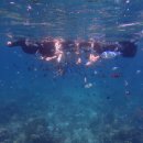 31140-5-23-5 | 보라카이 3박 4일 자유여행 (0) 준비 과정 및 여행 경비 후기