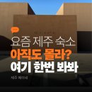 메이네 | 동쪽 제주 여행 자쿠지 독채 감성 숙소 메이네 후기, 이번 여행 컨셉이 힐링이라면 여기