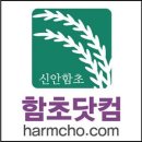 함초의 효능 이미지