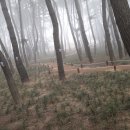 장항아구탕 이미지