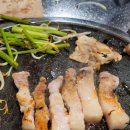 돼지세끼 이미지