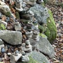 염주약국 이미지