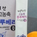 배뫼산블루베리